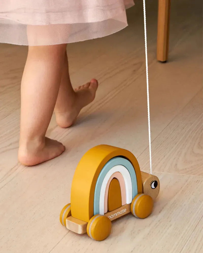 Steck- & Ziehspielzeug (Bio) - Schildkröte & Regenbogen