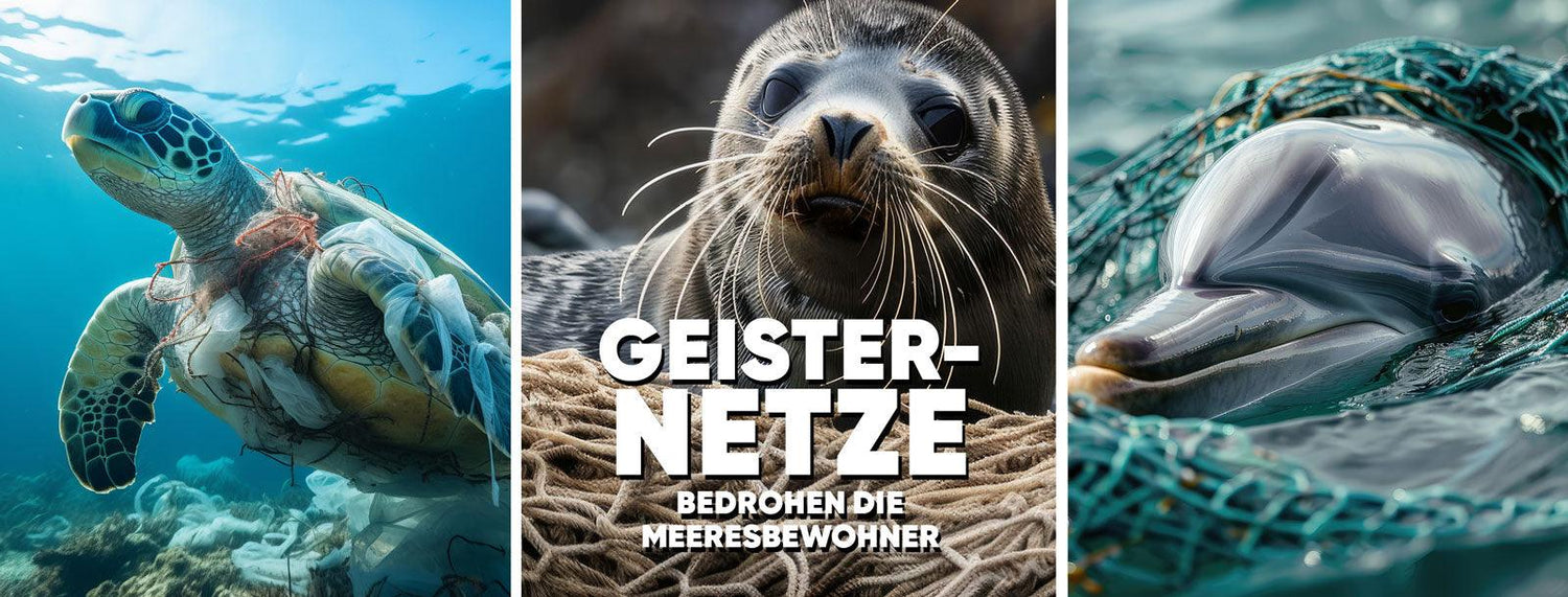 Meeresschildkröte, Robbe und Delfin durch Geisternetze im Ozean gefährdet, Umweltschutz